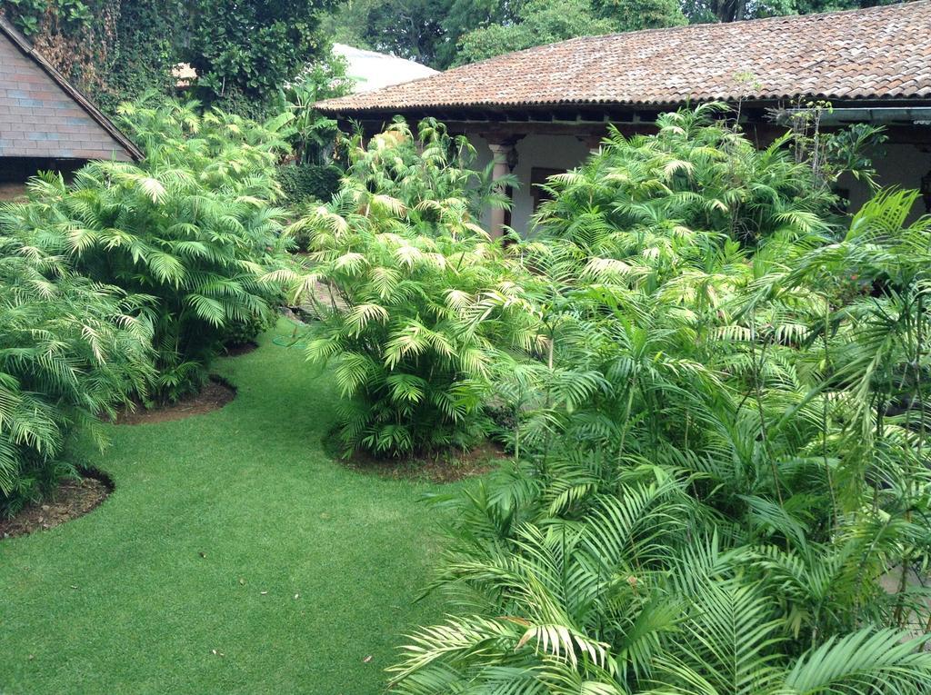 Hacienda San Pedro Uruapan (Michoacan) Ngoại thất bức ảnh